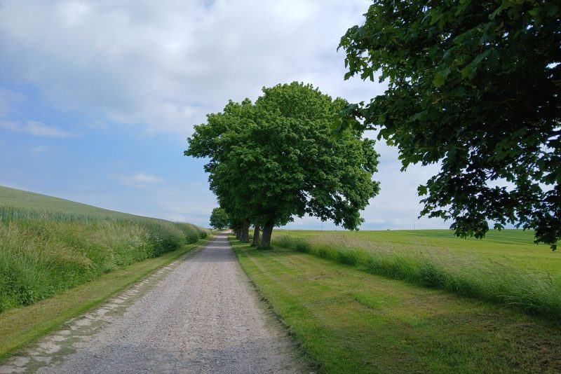 Příjezdová cesta k novostavbě – Vysoké Mýto, Štěrk 16/32 + 8/16 · 140 m² · propustek